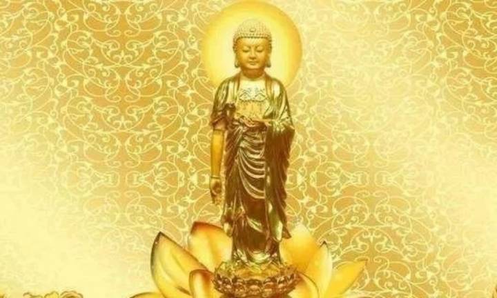 阿弥陀佛的最新动态与资讯更新