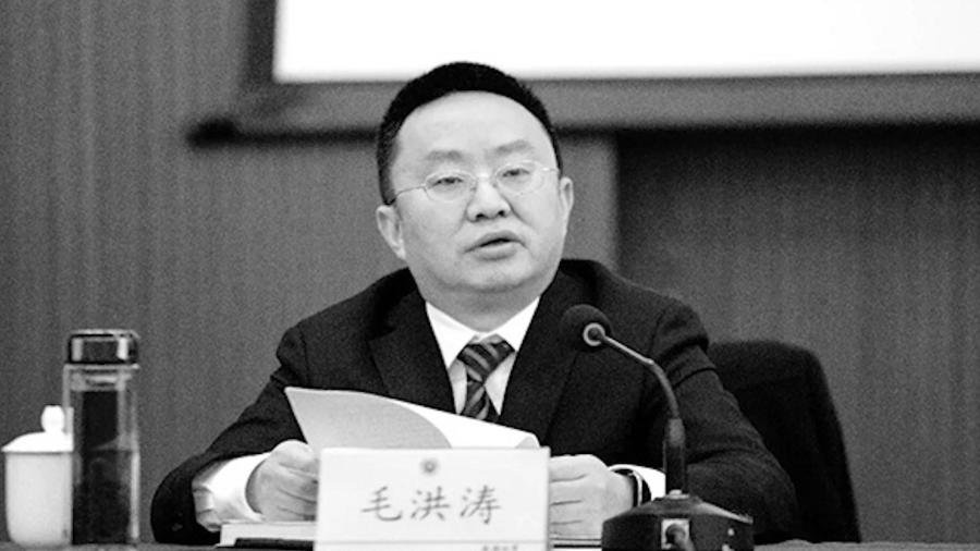 毛洪涛最新情况揭秘，城市生活的温馨日常观察