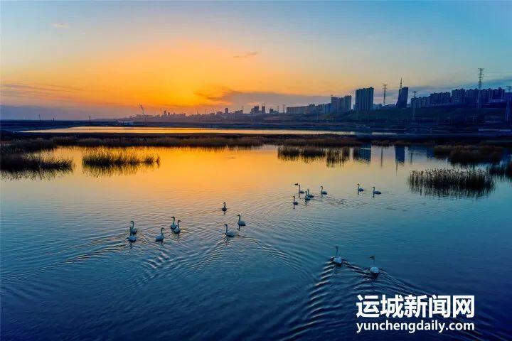 运城盐湖最新动态更新