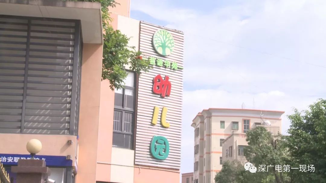 观澜茗语华苑最新动态，全方位解读热议话题