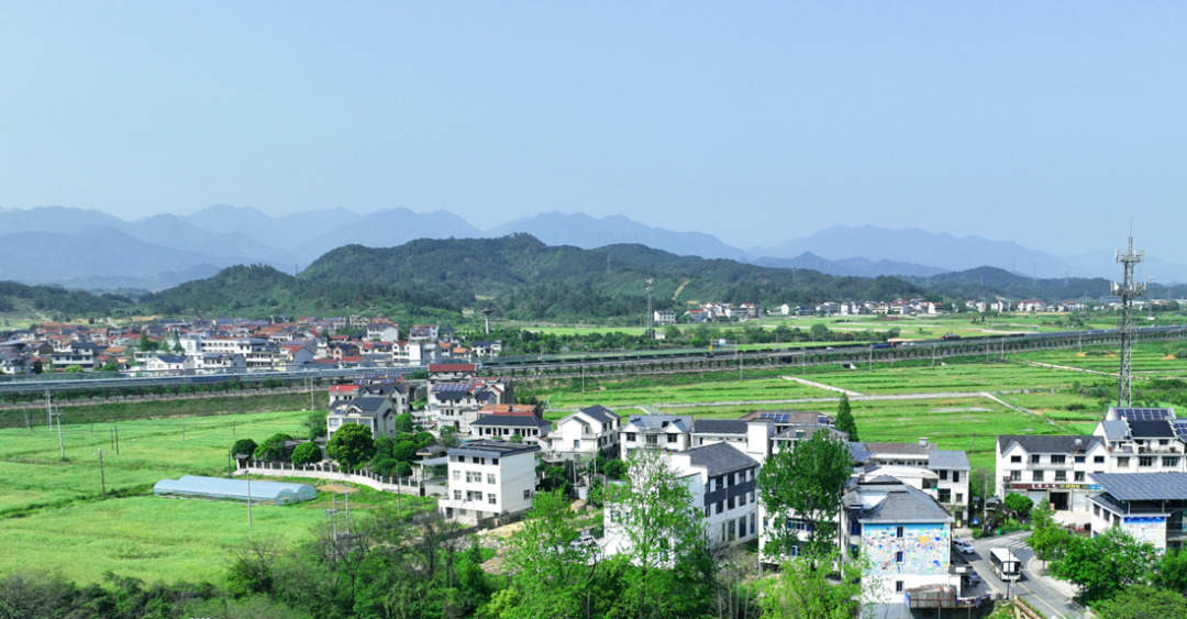 靖西市百事通最新新闻报道