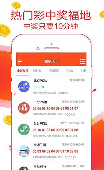 澳门王中王100的资料,决策支持方案_世界版57.248