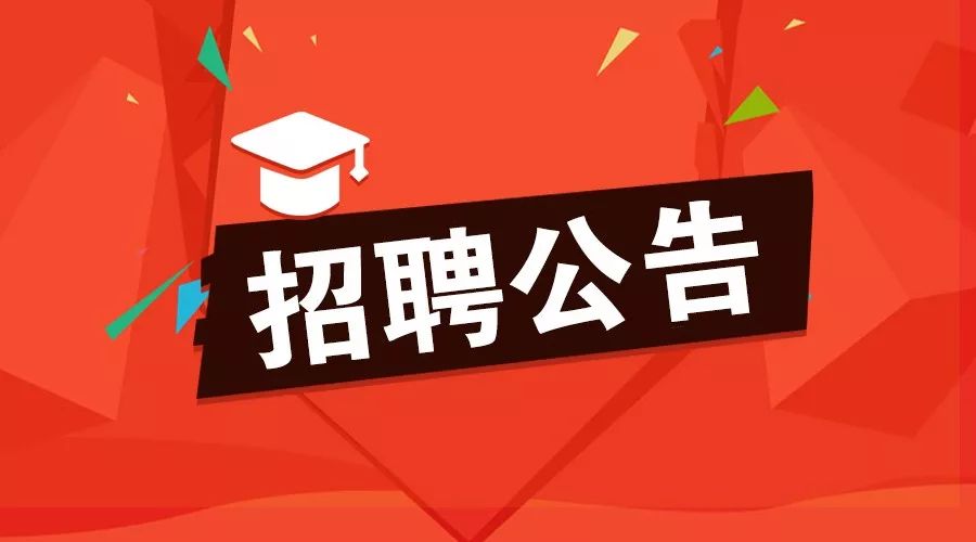 临清最新招聘信息揭秘，求职者的邻里小子奇遇与友情纽带探索
