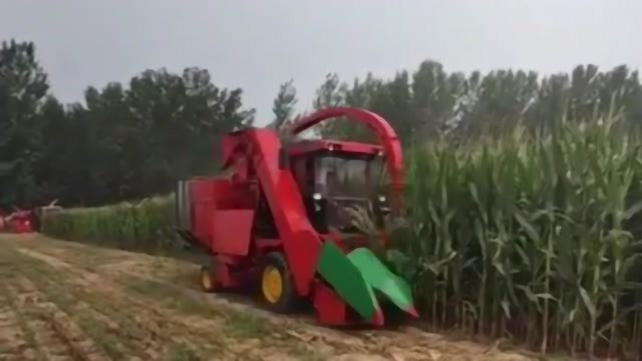 玉米收割机最新款及其使用指南