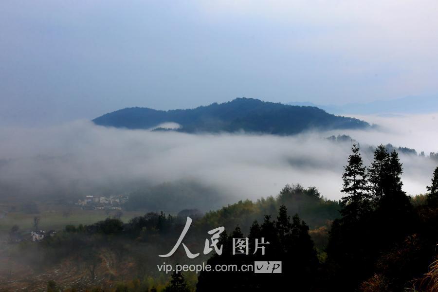 安徽暴雨后的自然探索，最新消息与轻松之旅体验