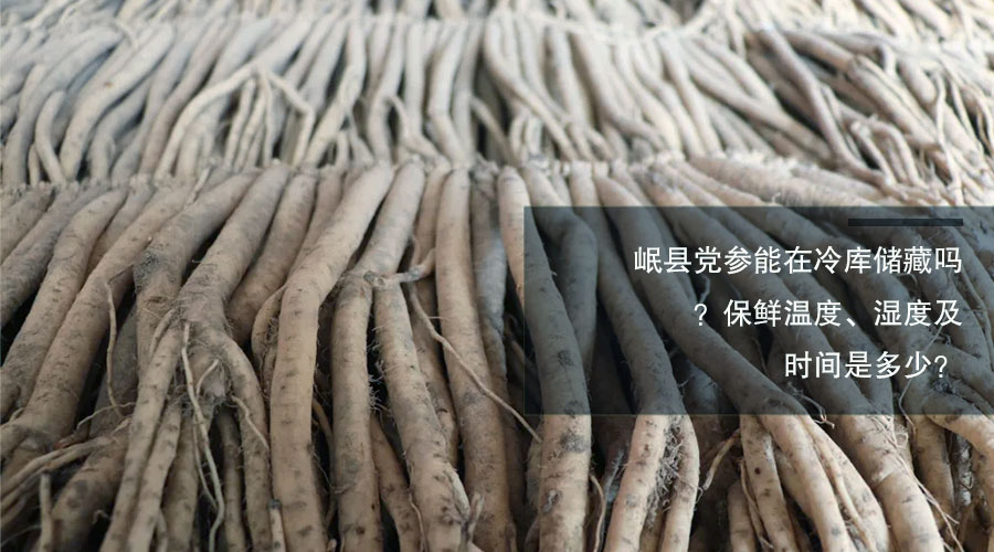 党参最新价格走势及分析