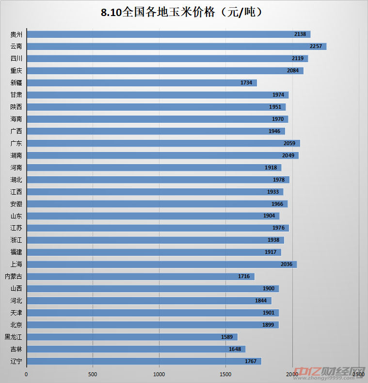 玉米价格最新行情分析与萌趣日常故事概览