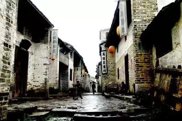 自然共舞，最新热门小说的奇妙旅程