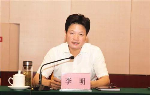 淮北最新招聘信息揭秘，小巷中的职业机遇等你来探索！