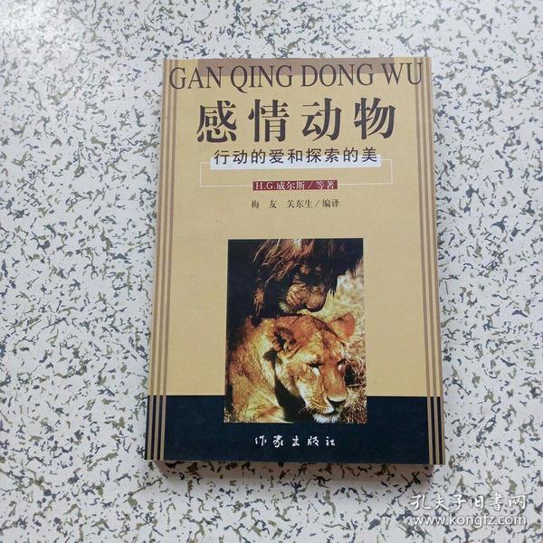 情感探索的时代印记，最新寻情记回顾与展望