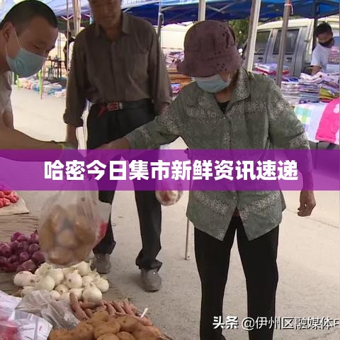 哈密最新新闻分享🌟
