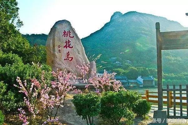 辰东最新小说，自然美景的治愈之旅探索
