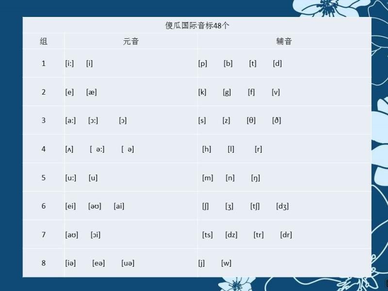 最新国际音标，开启奇妙语言探索之旅