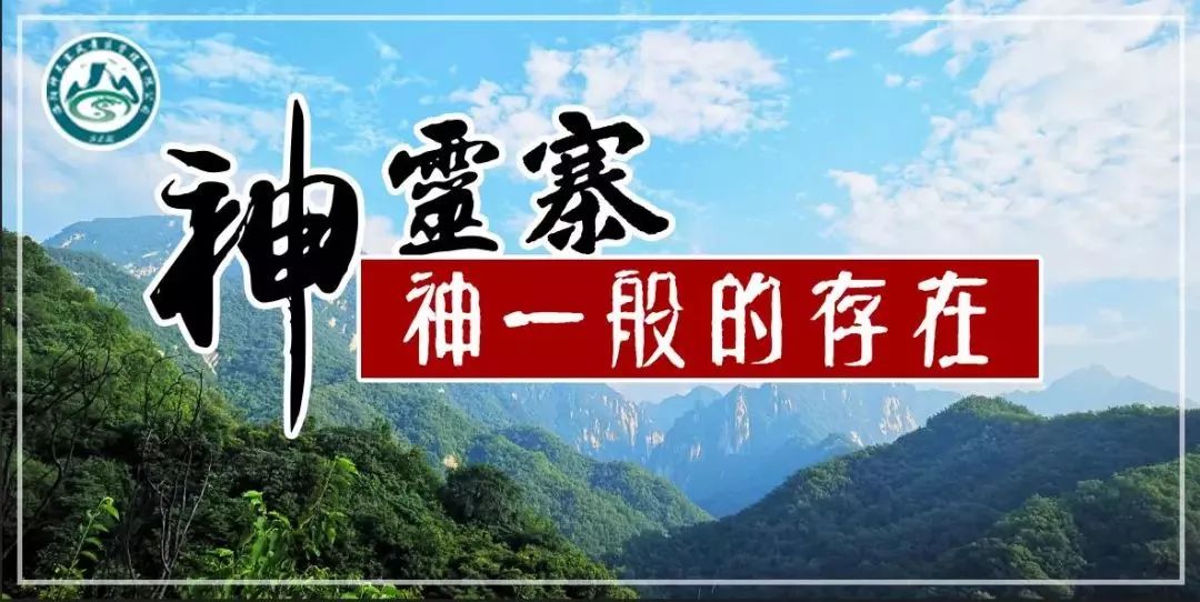 宁晋新闻最新动态，自然之旅唤醒内心宁静与平和