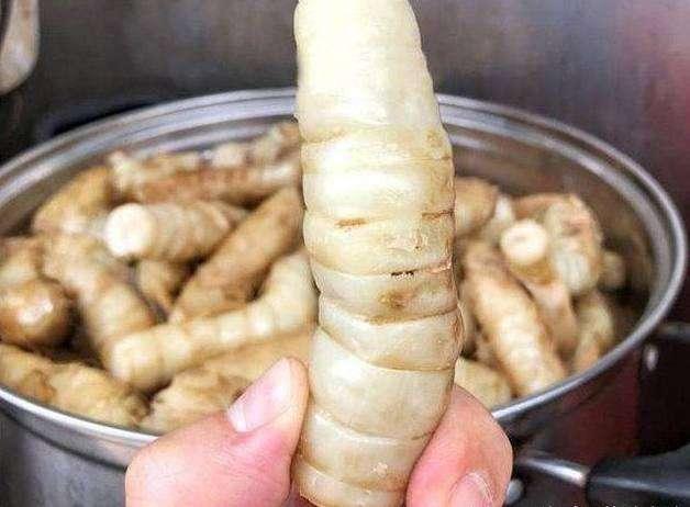 最新生猪价格行情探秘与小巷深处的味觉惊喜