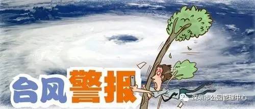 强台风最新动态及应对准备攻略
