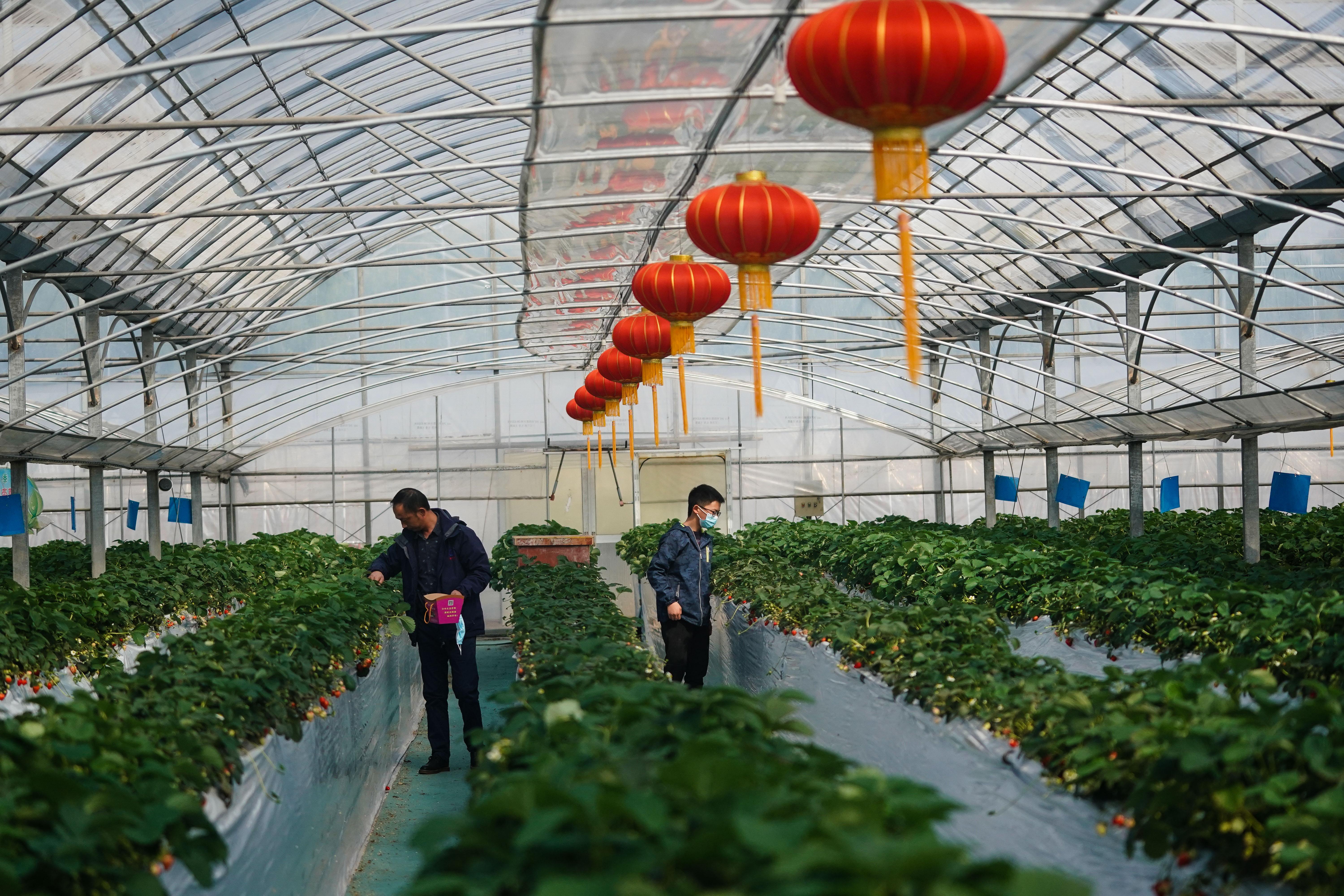 江苏最新任命领导，时代先锋引领发展之路
