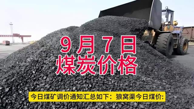 今日煤炭价格最新动态与查询全攻略