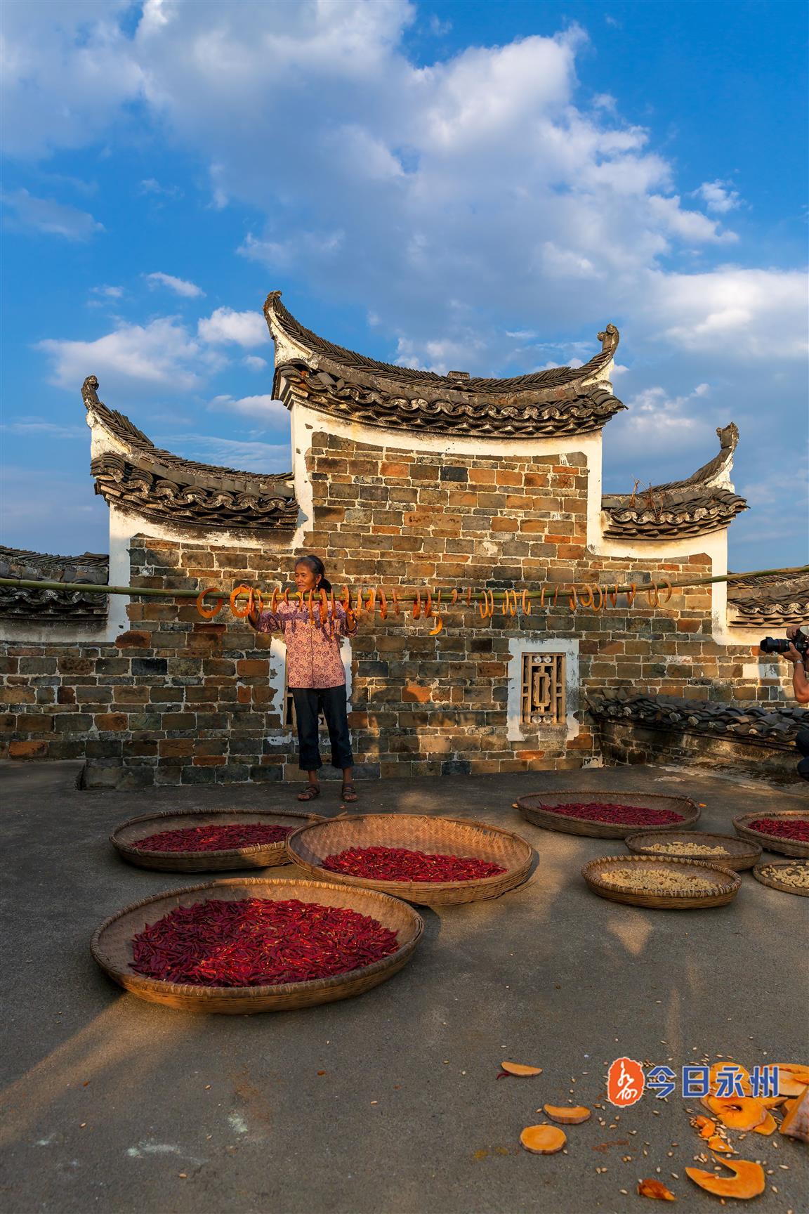 南瓜价格最新行情，自然美景探索之旅的南瓜之旅。