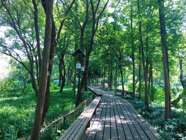 CL最新入口，解锁自然美景，启程宁静的内心探寻之旅