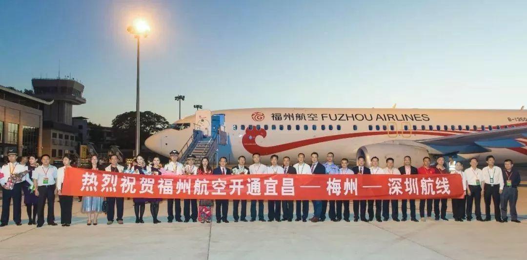 深圳航班最新动态，多方观点分析与个人立场阐述
