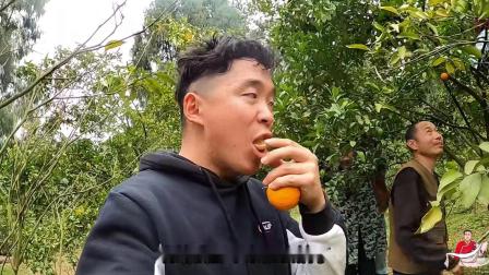 农村阿凯最新视频，小巷深处的独特风情揭秘