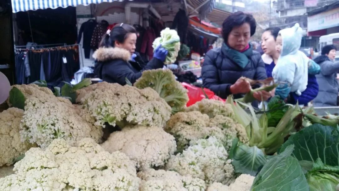 菜花价格最新行情，绿色之旅寻找内心平静