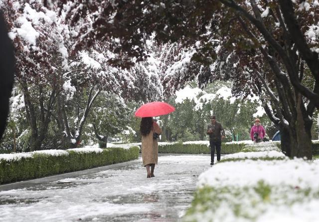 山西暴雨最新动态及应对实用指南（初学者与进阶用户皆需了解）