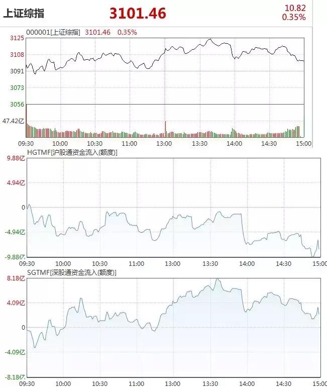 最新流出视频，热门趋势与案例分析揭秘