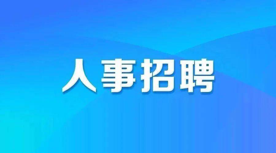 孝感最新招聘信息，职场之旅与友情纽带
