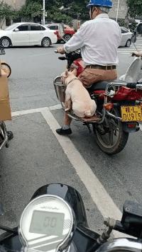 俄罗斯最新制裁动态，呼唤心灵与自然共舞之旅