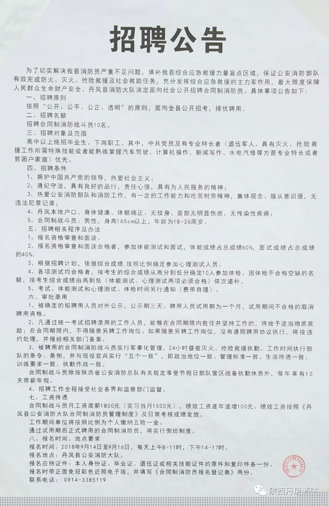 西平招聘网最新招聘信息，职业新起点启程！🌟