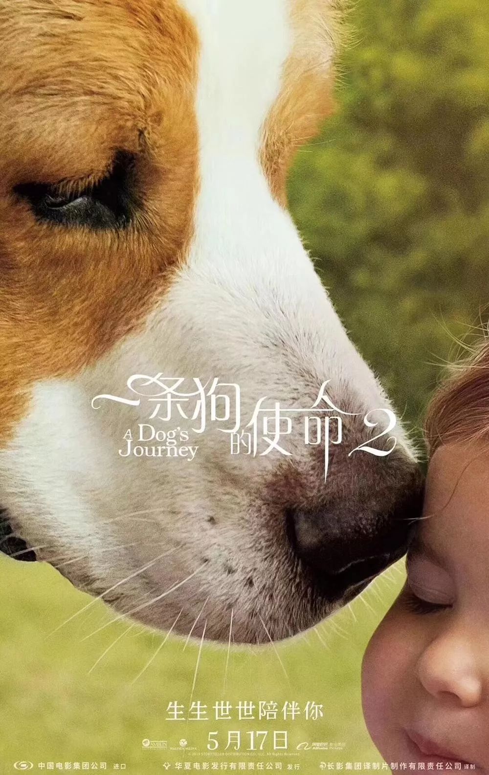 最新狗狗电影，时代温馨记忆，感动每一刻