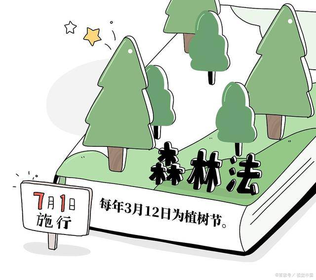 最新森林法，守护绿色家园的坚实法律盾牌