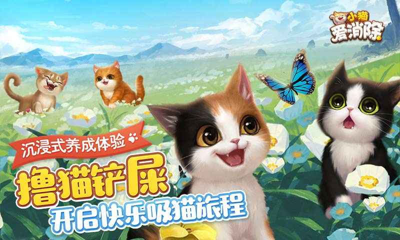 快猫最新下载，温馨日常的陪伴与爱