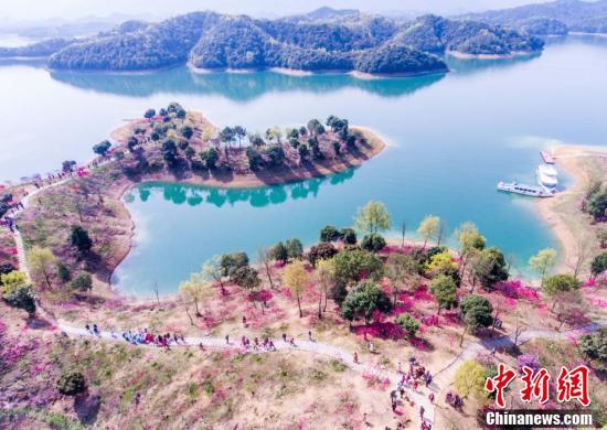 庐山市最新动态，温馨日常、友情绽放与家的温暖