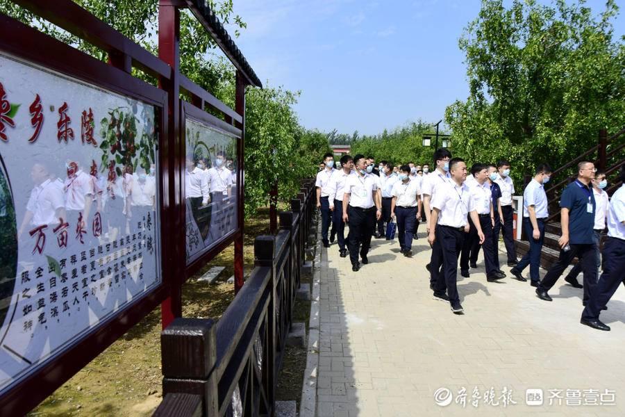 乐陵最新招聘大揭秘，职场达人们的新工作机遇等你来挑战！