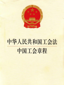 最新工会章程下的日常趣事探索