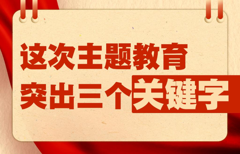 大丰招聘网最新招聘，职场新动向与时代脉搏同步前行