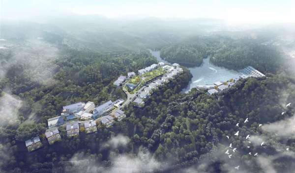 草社区最新地址与发展观点的深入探讨