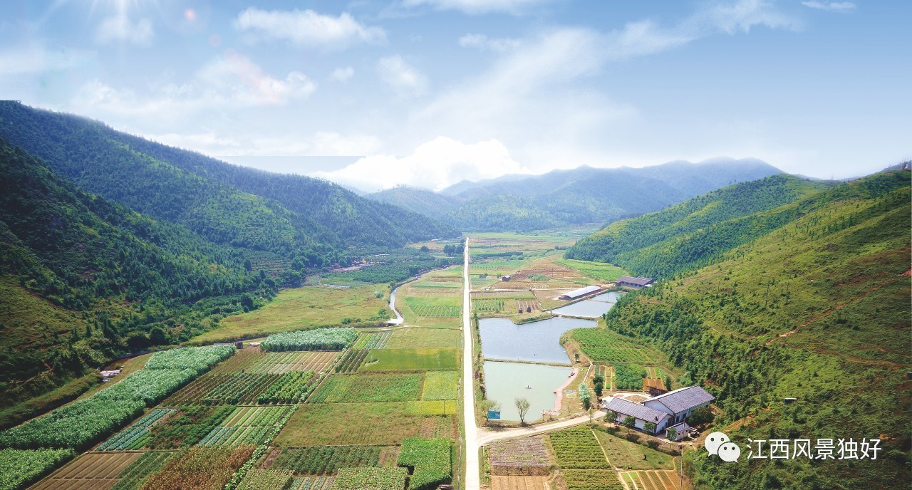 赵县新闻最新动态，探索自然美景之旅，寻找内心平和的旅程