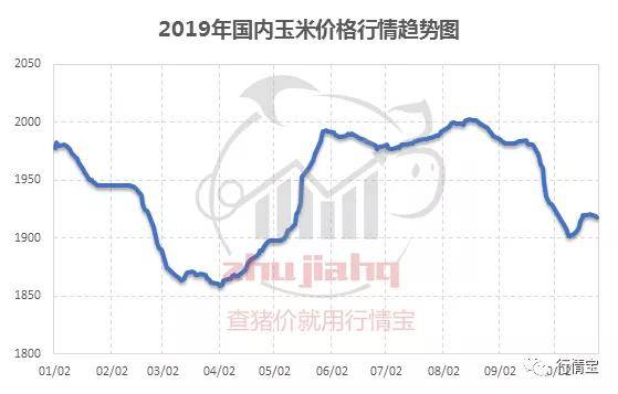 玉米价格最新行情深度解析