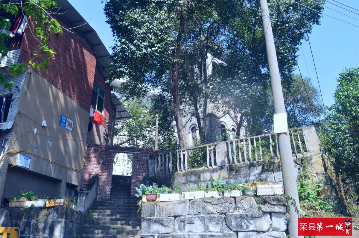 峡谷之巅最新排名与小巷深处的独特风味揭秘