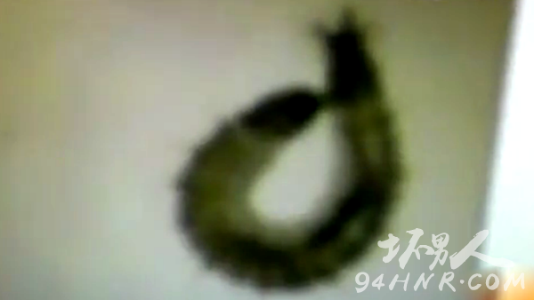 重型机械轴承 第327页