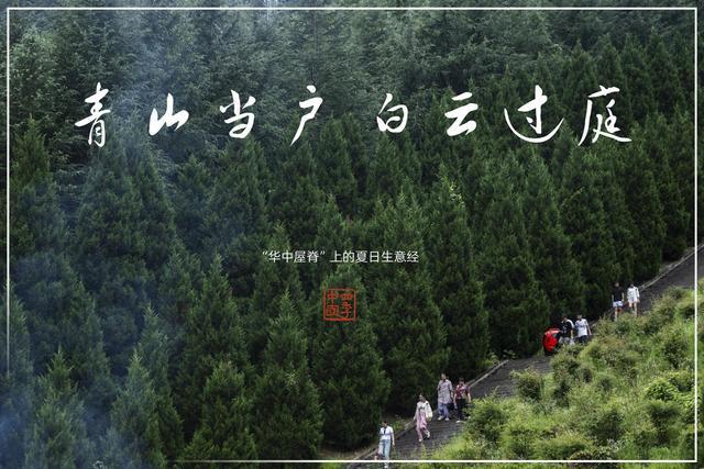 重型机械轴承 第314页