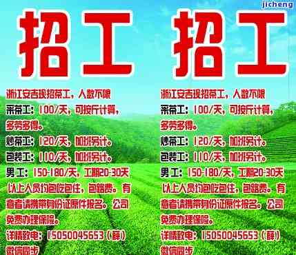 重型机械轴承 第246页