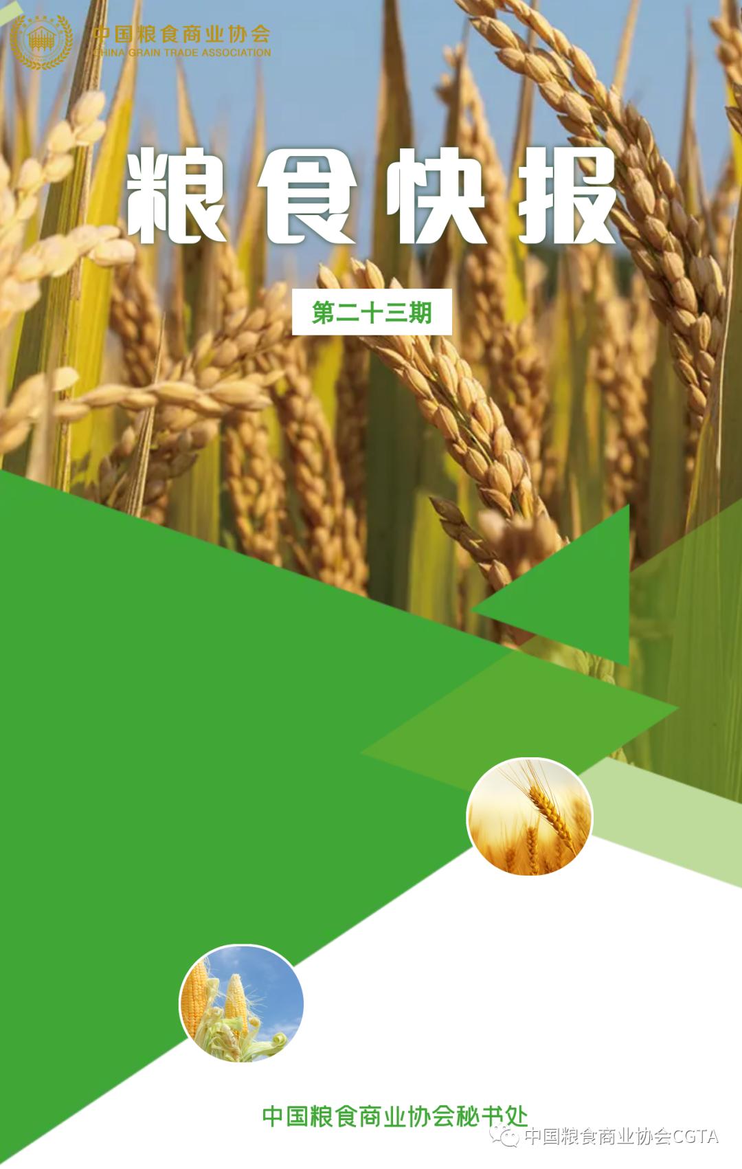 重型机械轴承 第219页