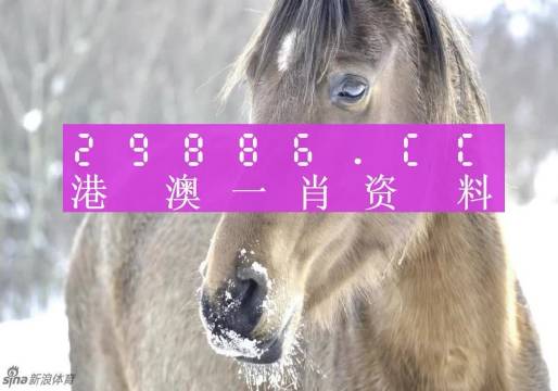重型机械轴承 第213页