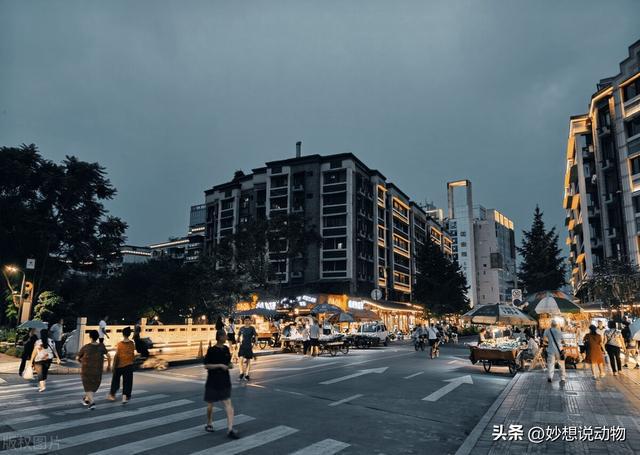 重型机械轴承 第203页