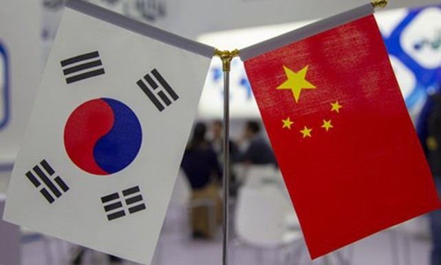 中国与韩国，时代交织的友好邻邦最新消息速递